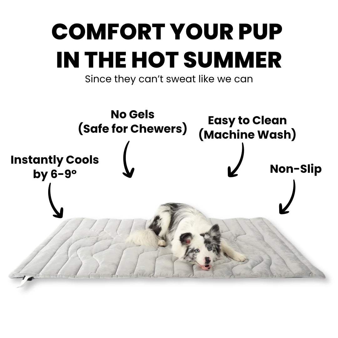Dog Cooling Mat