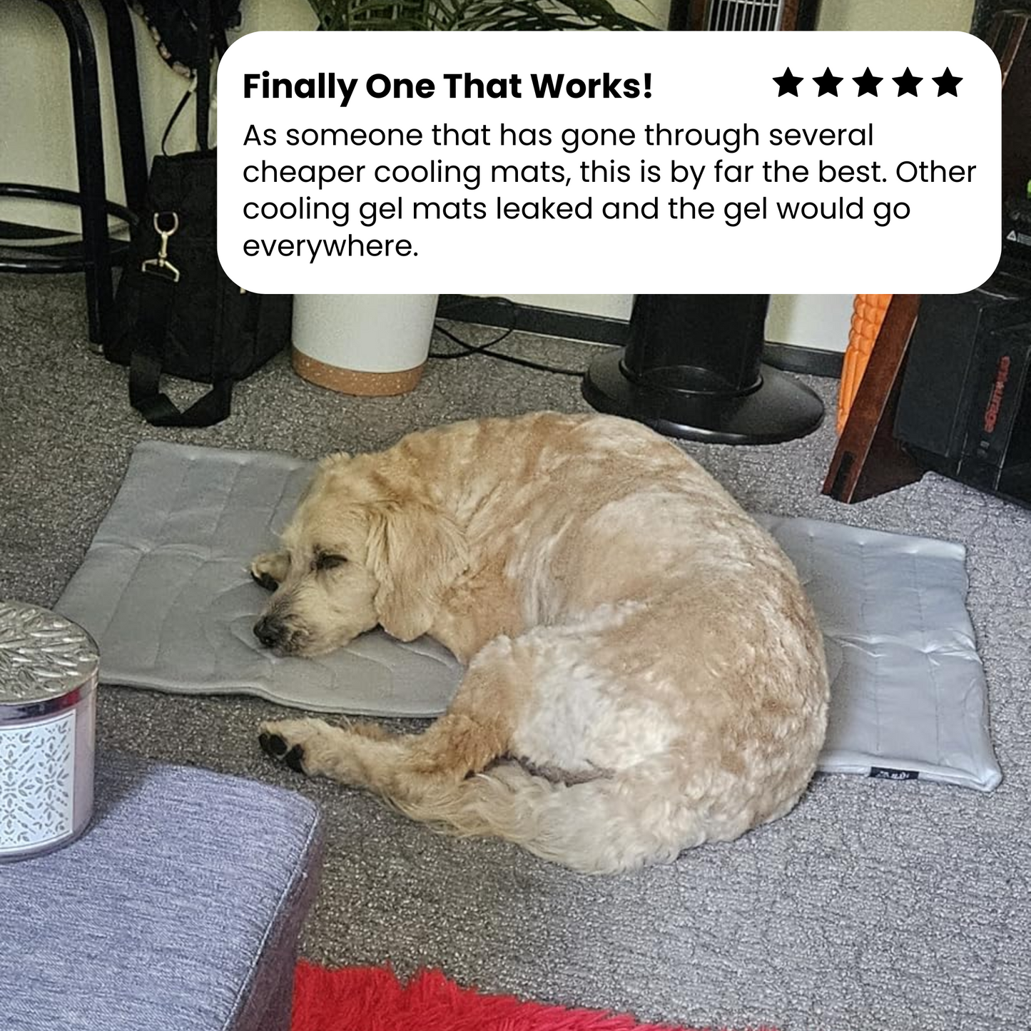 Dog Cooling Mat