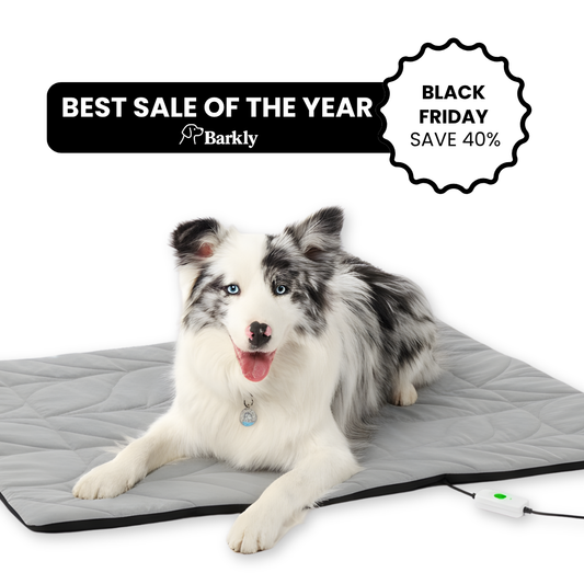 Dog Warming Pad