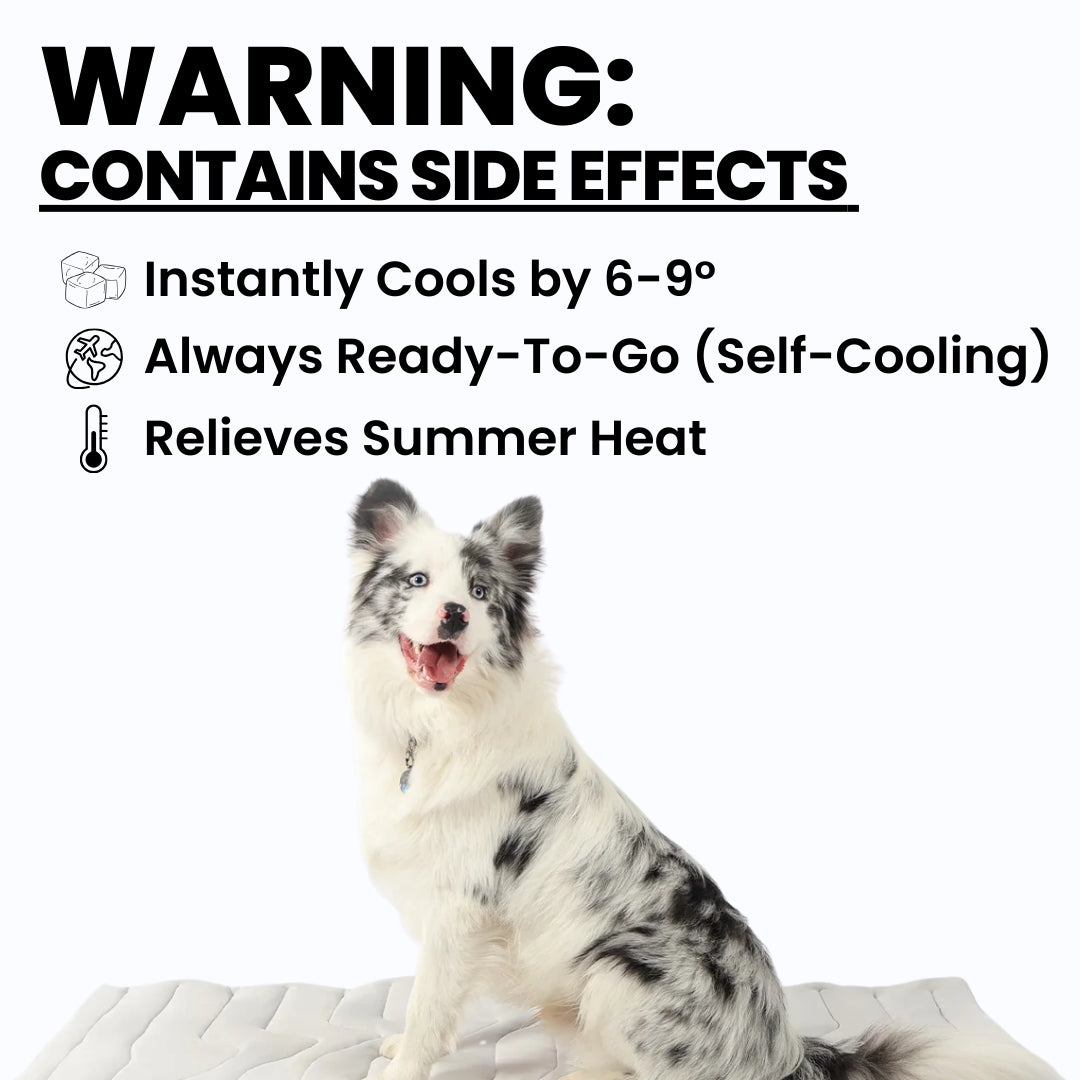 Dog Cooling Pad