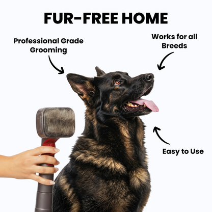 Self-Cleaning Grooming Kit