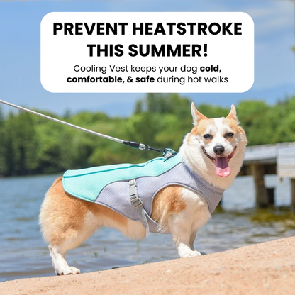 Barkly Cooling Vest