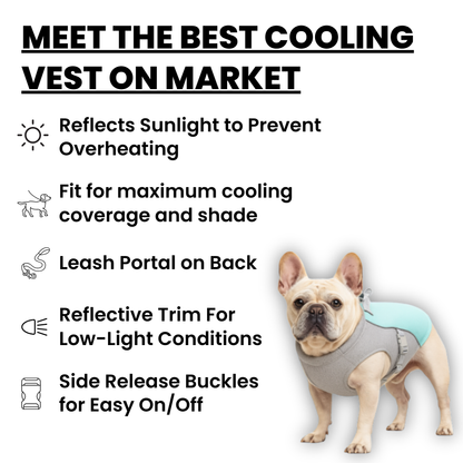 Barkly Cooling Vest
