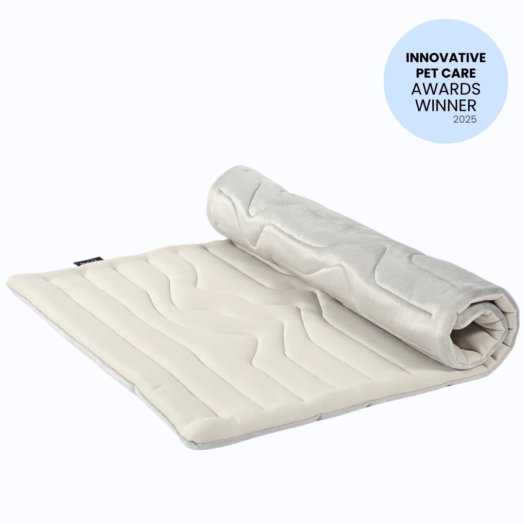 Dog Cooling Pad
