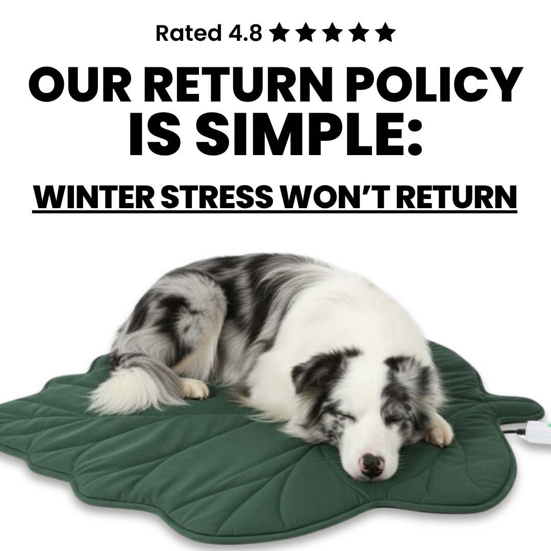 Dog Warming Pad