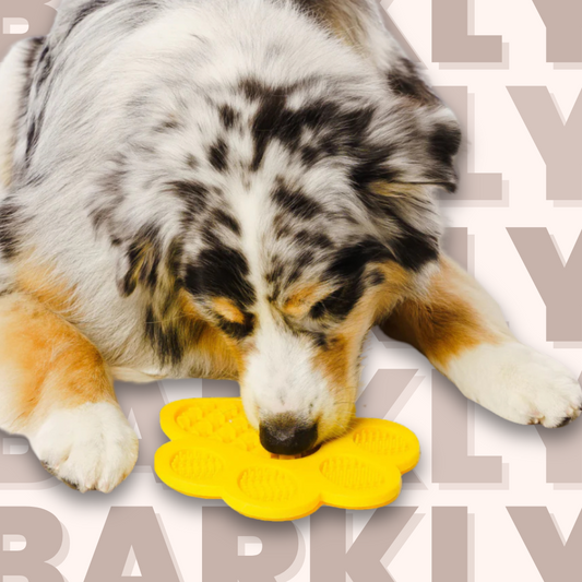 Textured Lick Mat