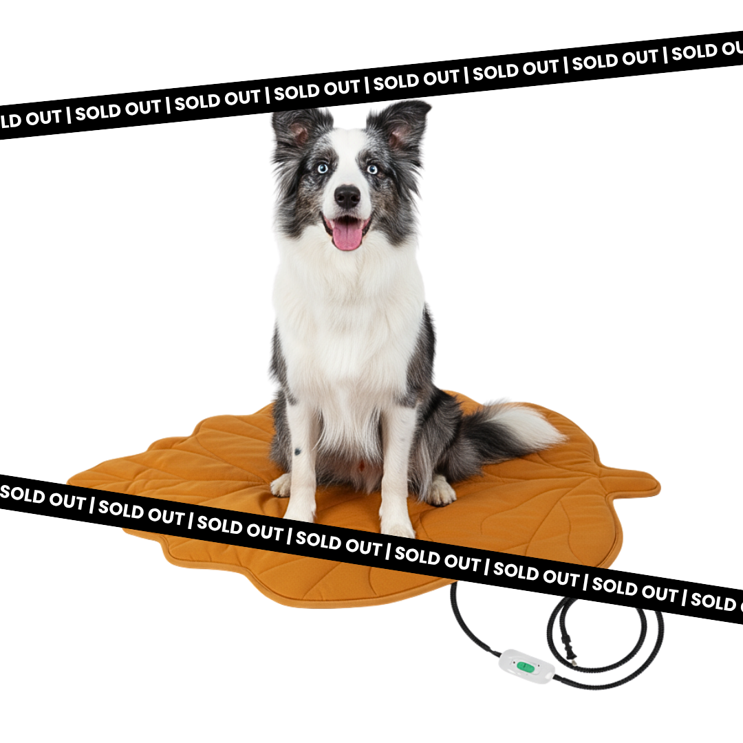Dog Warming Pad