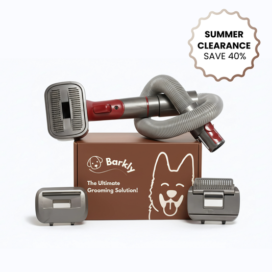 Self-Cleaning Grooming Kit